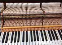 Steinway 1917 grand piano action